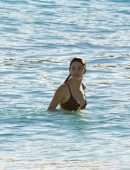 Camila Morrone Booty in Thong Bikini on a Beach in St Barts