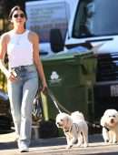 Lucy Hale Booty in Jeans , Walking her Dogs in Studio City