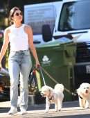 Lucy Hale Booty in Jeans , Walking her Dogs in Studio City