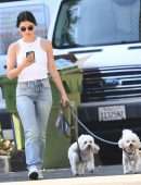 Lucy Hale Booty in Jeans , Walking her Dogs in Studio City