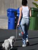 Lucy Hale Booty in Jeans , Walking her Dogs in Studio City