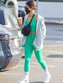 Vanessa Hudgens Pokies, Outside Dogpound Gym in West Hollywood