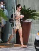 Alessandra Ambrosio Upskirt at a Hotel Balcony in Rio de Janeiro