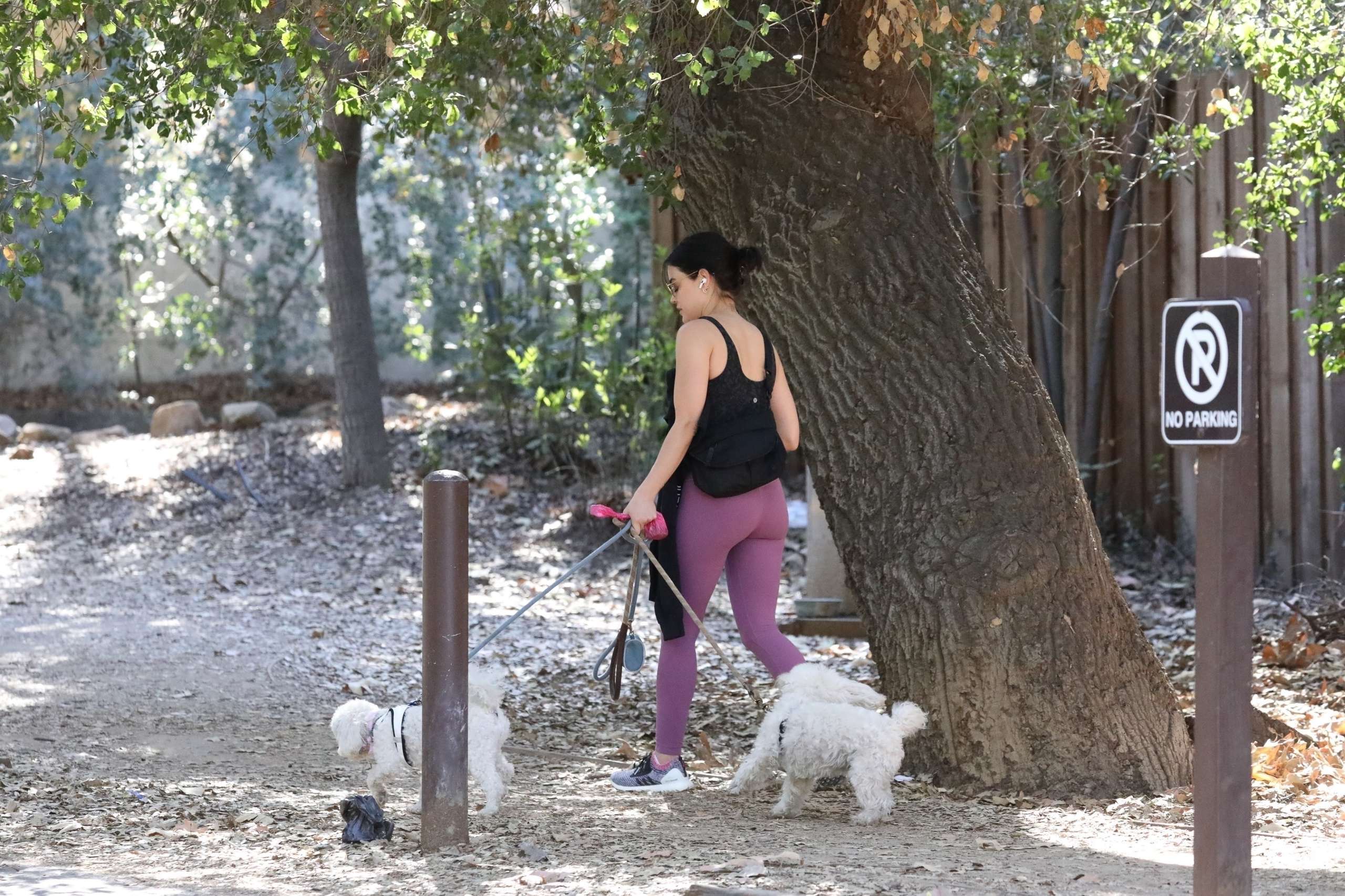 Lucy Hale Booty, Walking her Dogs in Los Angeles