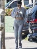 Alexandra Daddario After a Workout in Los Angeles
