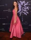 Miranda Kerr Gorgeous in a Pink Long Dress at The Berggruen Prize Gala in Beverly Hills