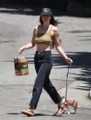 Scout Willis Pokies, Walking her Dog in Los Angeles
