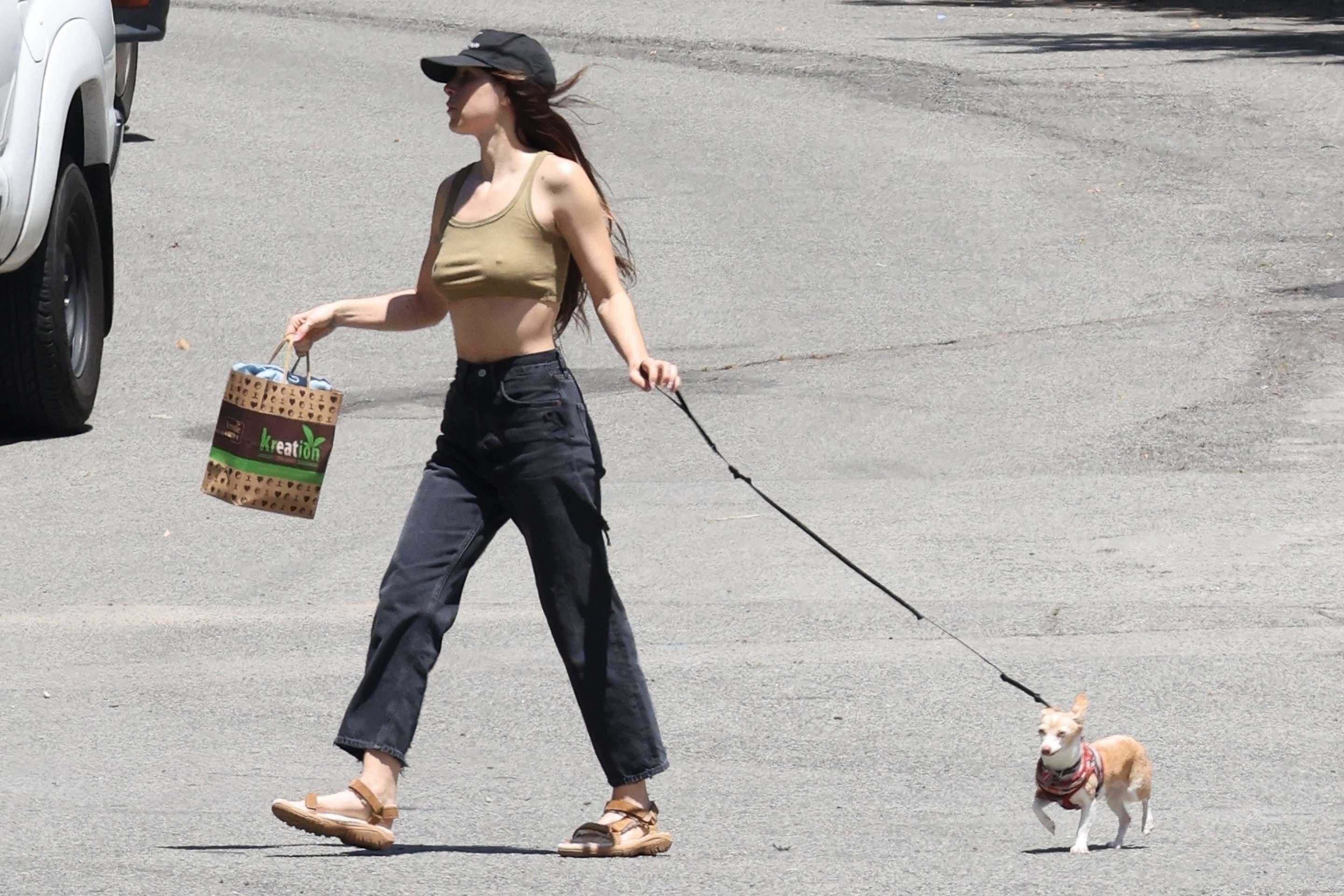 Scout Willis Pokies, Walking her Dog in Los Angeles