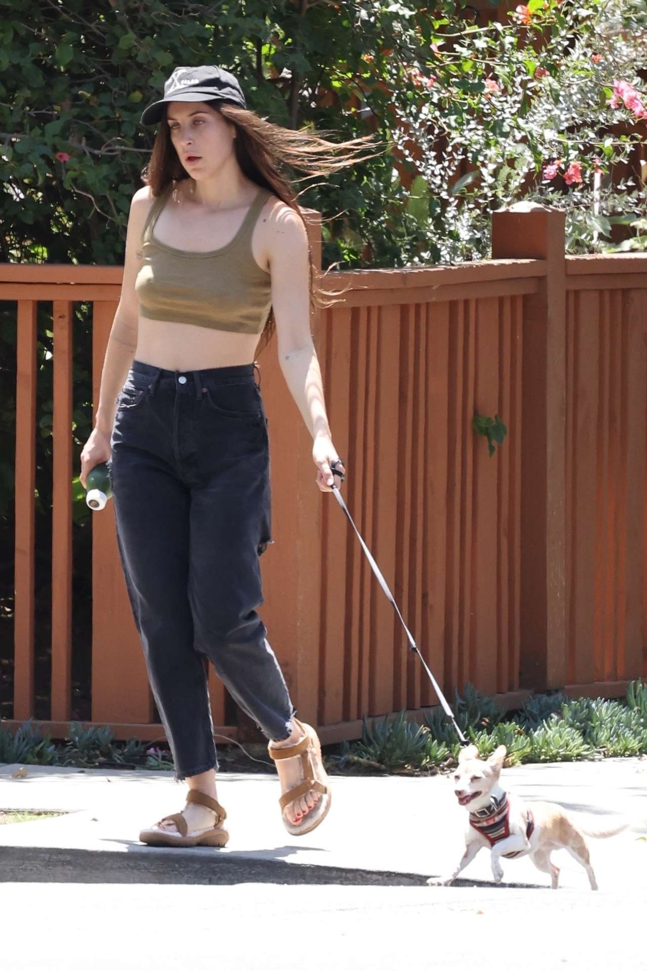 Scout Willis Pokies, Walking her Dog in Los Angeles