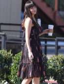 Dakota Johnson for a Photoshoot in West Hollywood