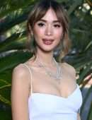 Heart Evangelista at Ondes Et Merveilles De Chaumet Photocall in Paris