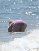 Hilary Duff Booty in Bikini on a Beach in Malibu