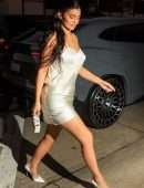 Kylie Jenner Leggy in a Shiny Dress at Giorgio Baldi in Santa Monica