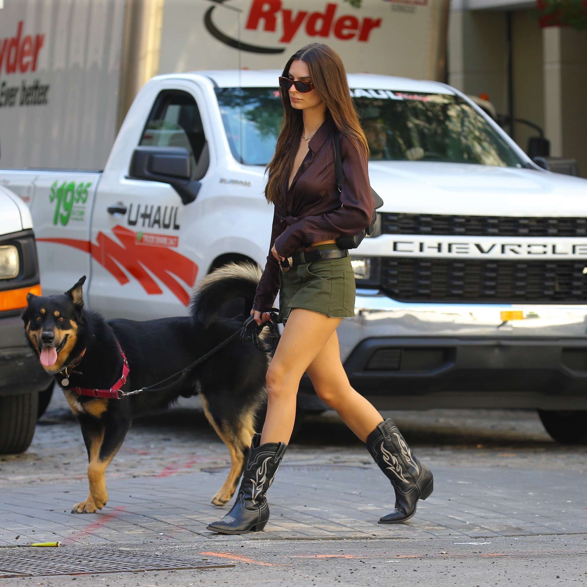 Emily Ratajkowski in Skirt, Walking her Dog in New York