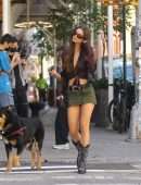 Emily Ratajkowski in Skirt, Walking her Dog in New York
