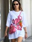 Alessandra Ambrosio Out and About in Brentwood