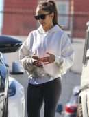 Minka Kelly in Leggings, Out in West Hollywood