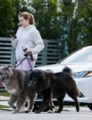 Victoria Iglesias Booty, Walking her Dogs in Miami Beach