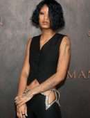 Willow Smith at the Premiere of “Emancipation” in Los Angeles