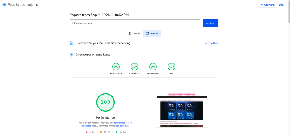 100 google page speed score on desktop version