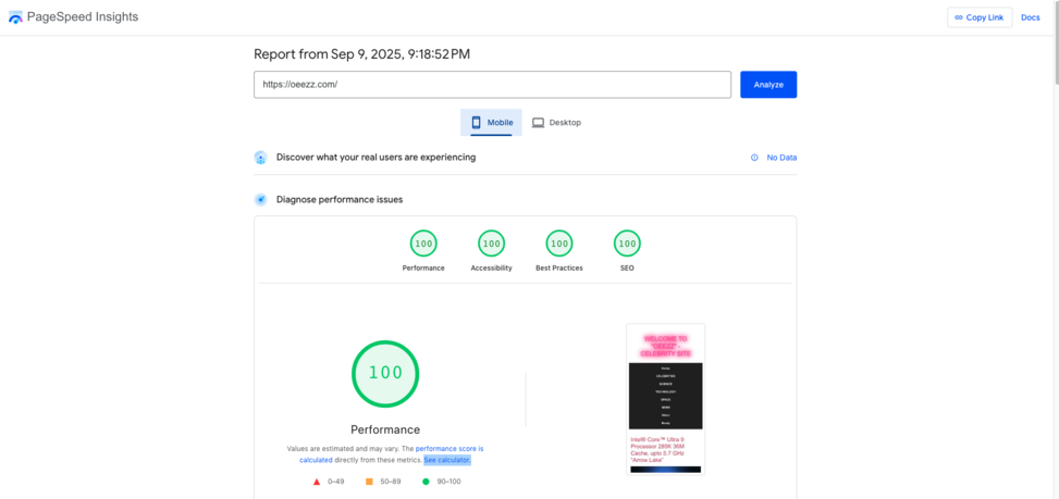 100 google page speed score on mobile version