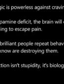 Addiction isn't Stupidity, its Biology - The First Step to Freedom is Ownership
