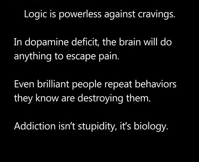 Addiction isn't Stupidity, its Biology - The First Step to Freedom is Ownership